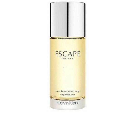 Buy Escape by Calvin Klein for Men EDT 100mL | Arablly.com